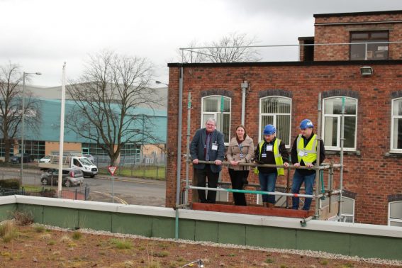 The birds and bees are buzzing on a factory green roof in Scotland