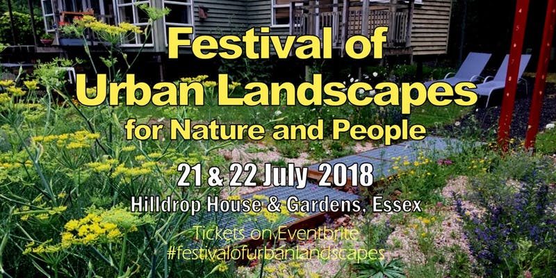 urban landscapes - festival