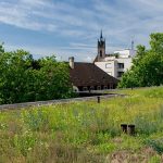Native plants on green roofs reduce building management costs