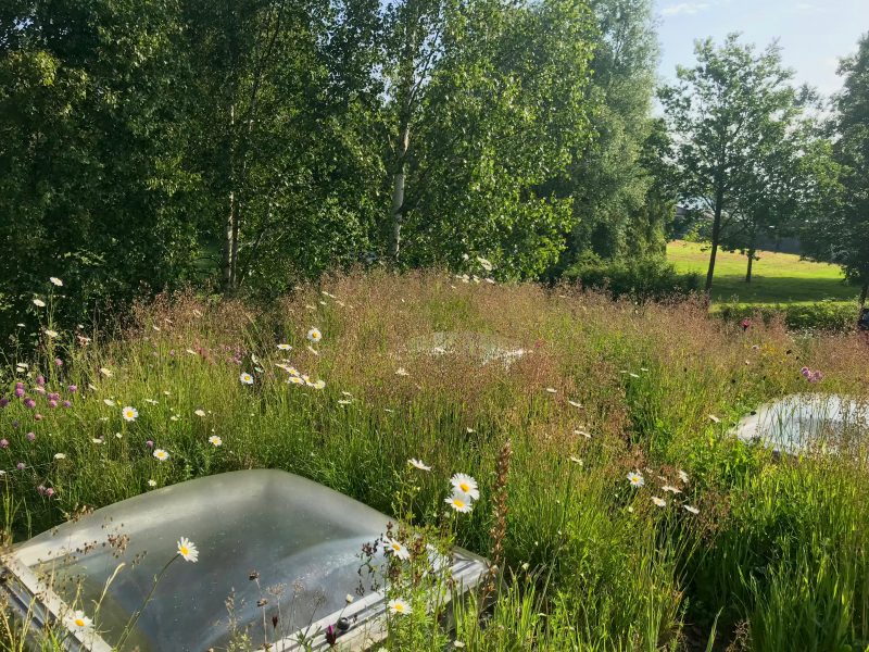 small green roof - on freight containers