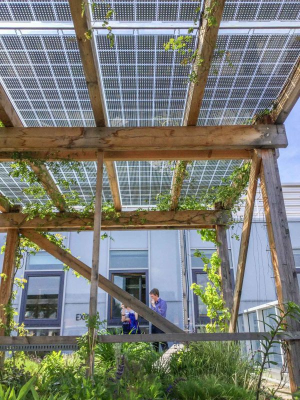 A solar intensive green roof rooftop garden Vienna, Austria