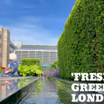 ‘Fresh air’ green roofs should be part of ‘healthy’ planning