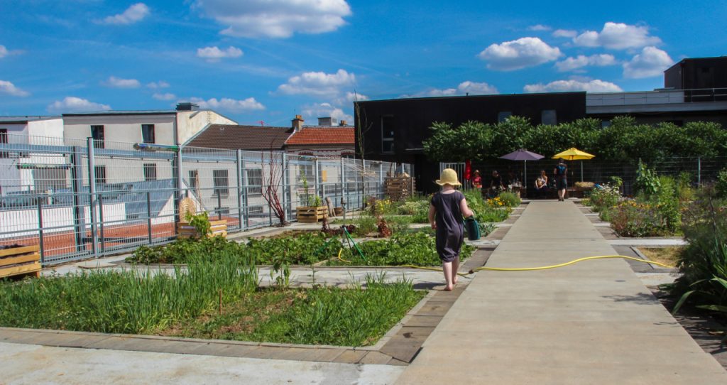 impact of green roofs - Paris
