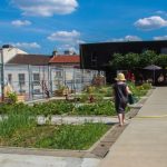 Paris | What is the impact of green roofs in the city and the Île de France