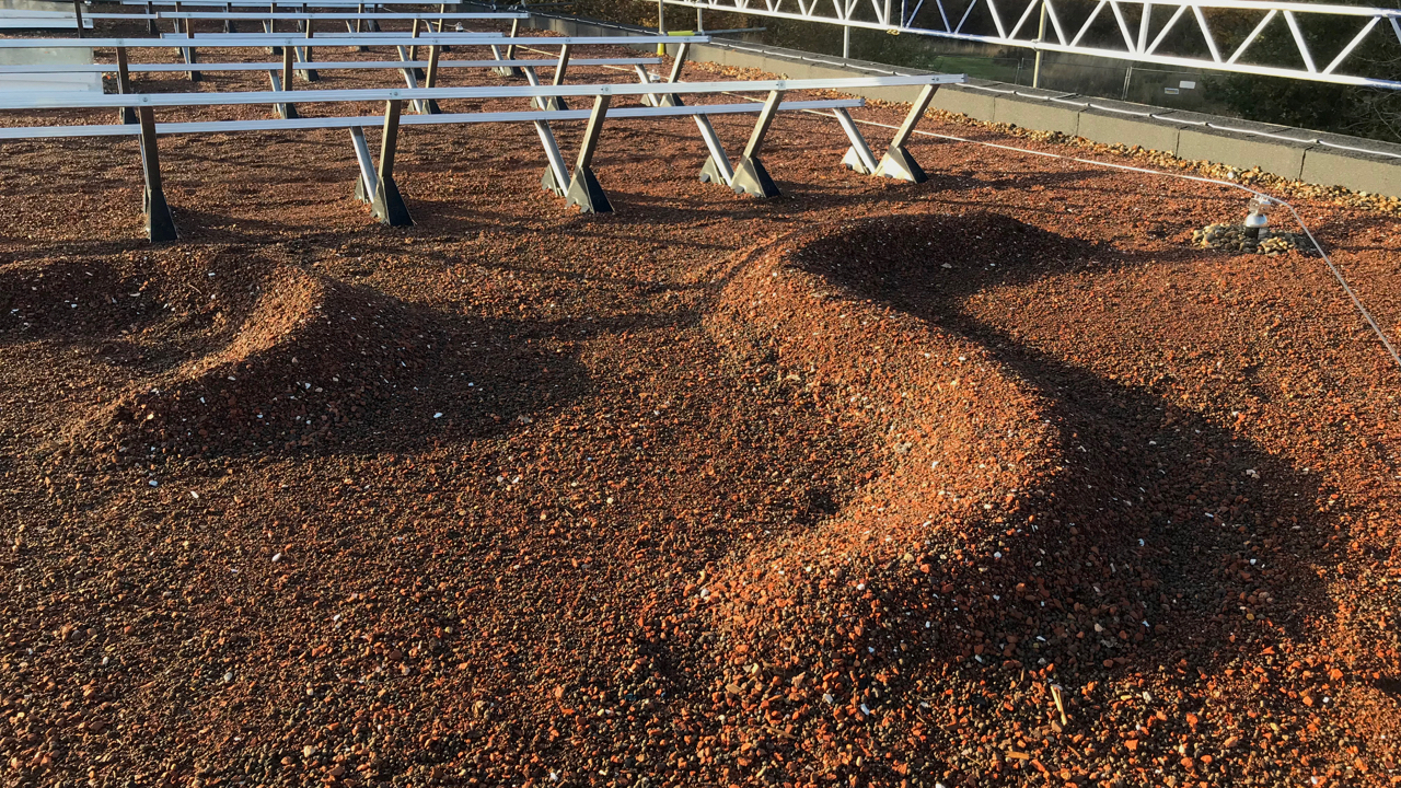 BIosolar - biodiversity mounds and integrated mounts for solar