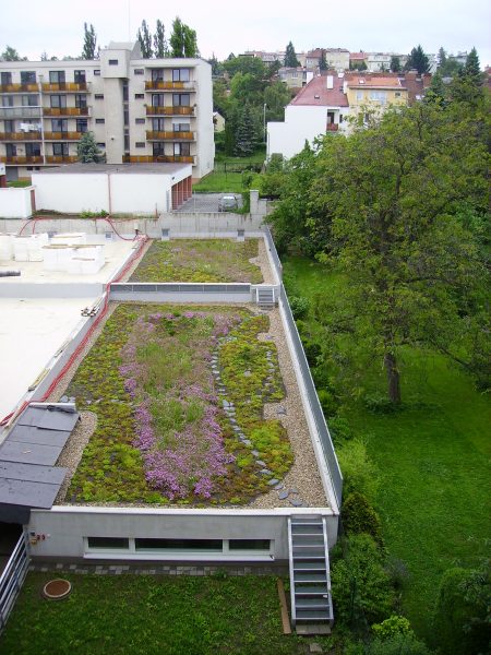 extensive green roof - Brno incentives
