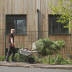 Ivy against air pollution aims to help school – Blackwall Tunnel Approach Road