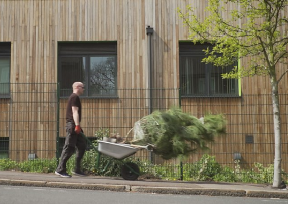 Ivy against air pollution aims to help school – Blackwall Tunnel Approach Road