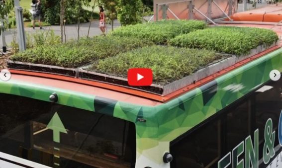 New a green roof bus acts as a research station too – Singapore
