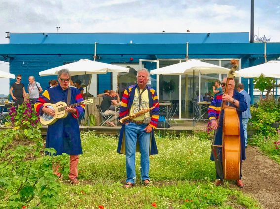 The Rotterdam green roof weekend commences 31st May – op het dak!