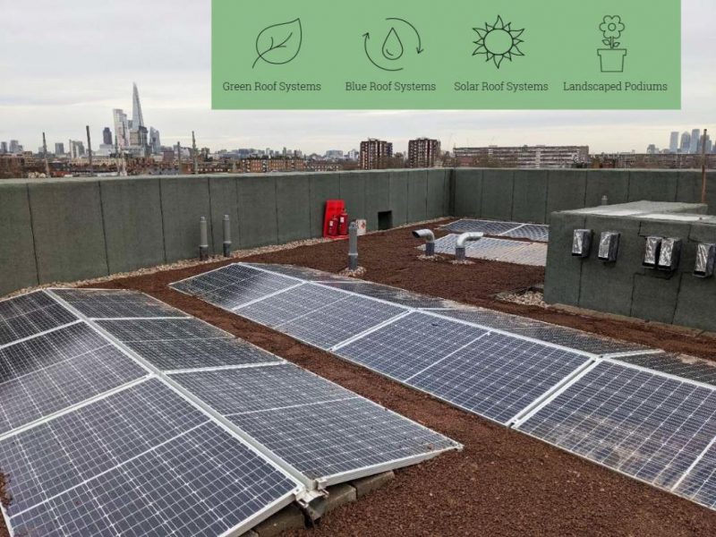 EGR (Eco Green Roofs) – Experts in Sustainable Roof Solutions